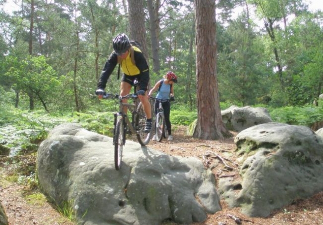 VTT fontainebleau